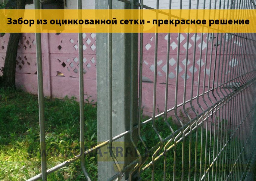 Забор из оцинкованной сетки